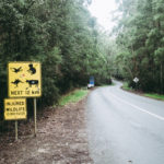 Lustiges Schild - hier gibt es also Dinos?