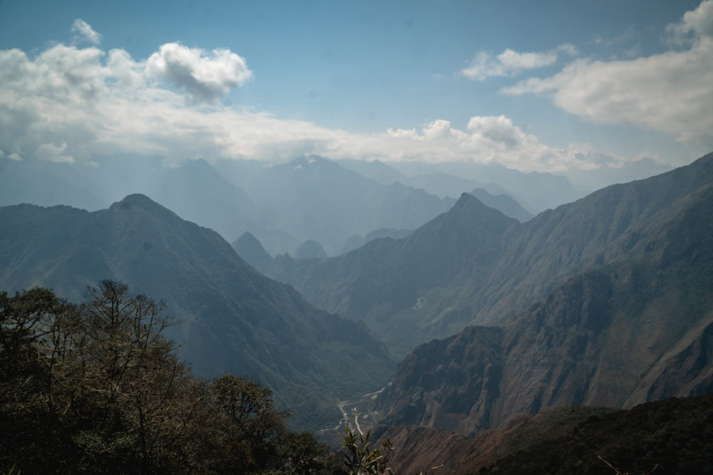 Der Salkantay Trek führt durch einen Cloud Forest