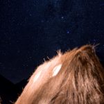 Der Himmel war atemberaubend schoen
