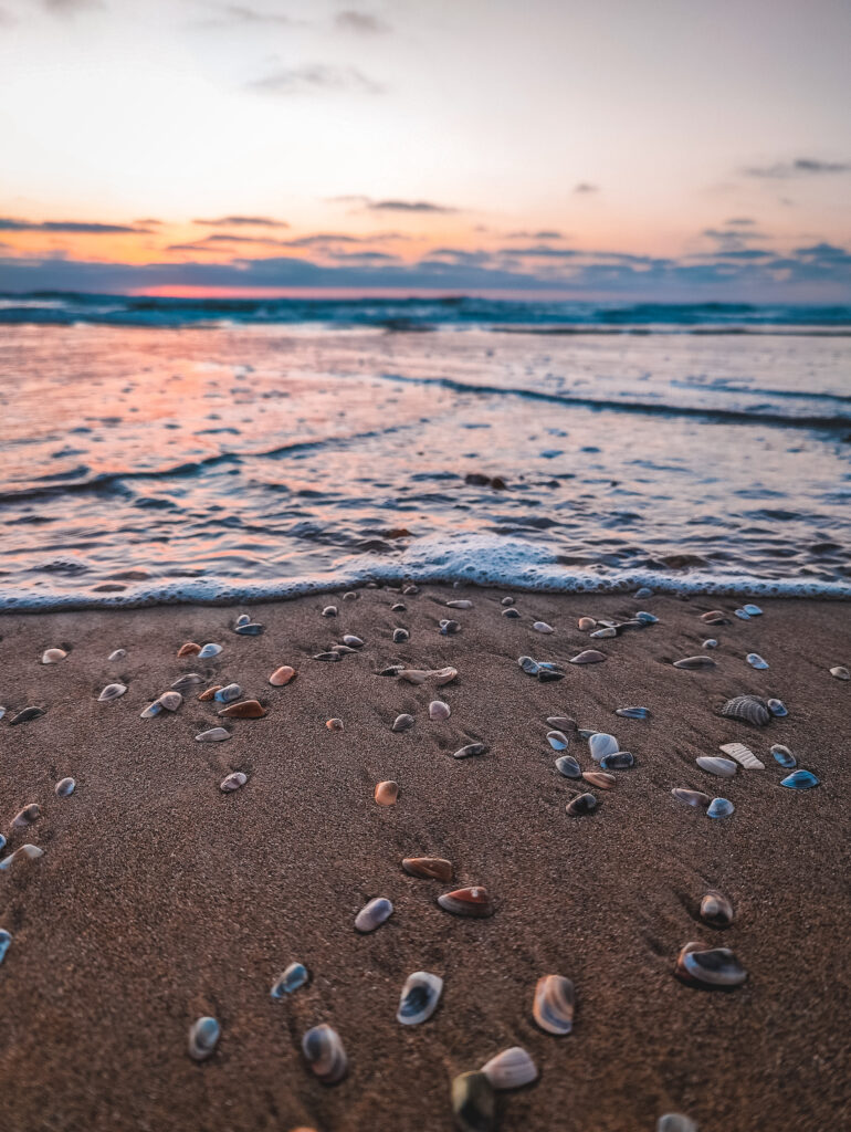 Pazifischer Ozean mit Muscheln und Sonnenuntergang