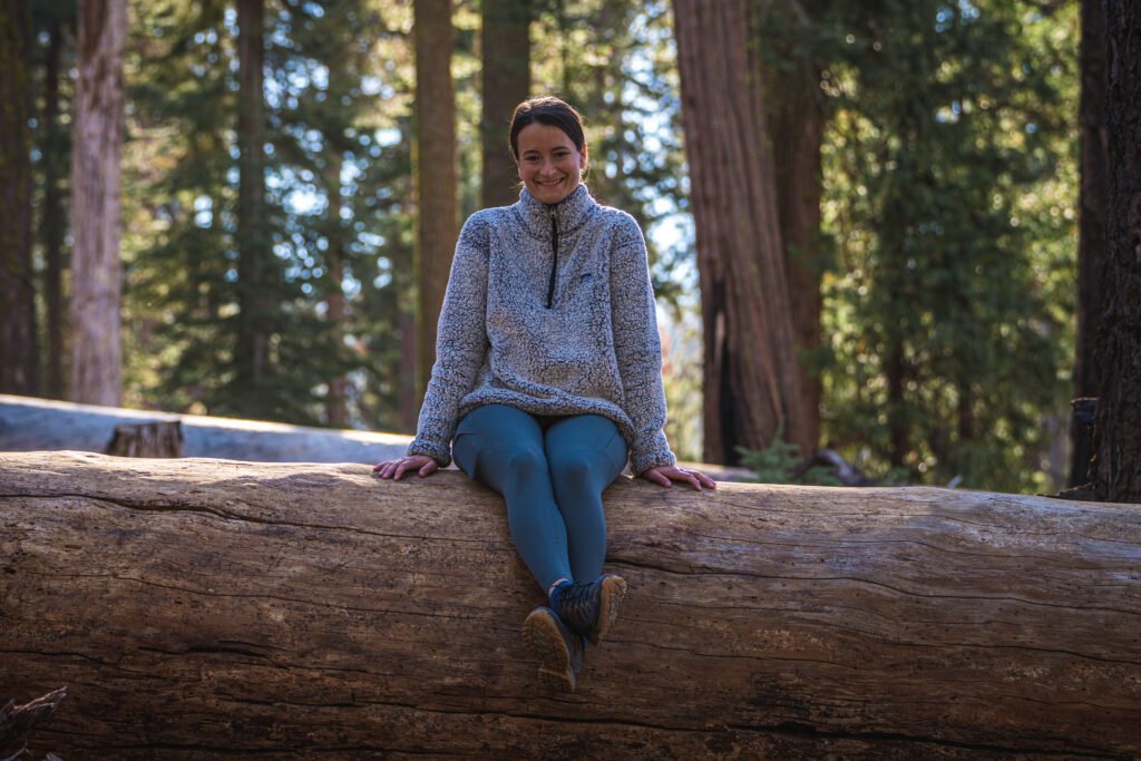 Ein Tag im Mariposa Grove