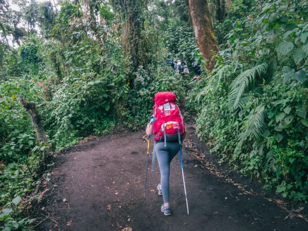 Jess auf dem Wanderweg durch den Cloud Forest