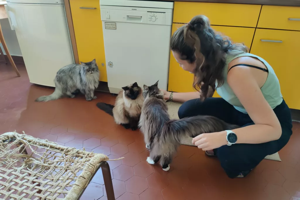 Jess mit den Katzen beim Housesitting