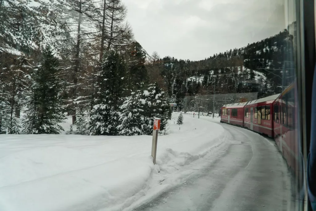 Der Bernina Express fährt zunächst durch einen Wald.