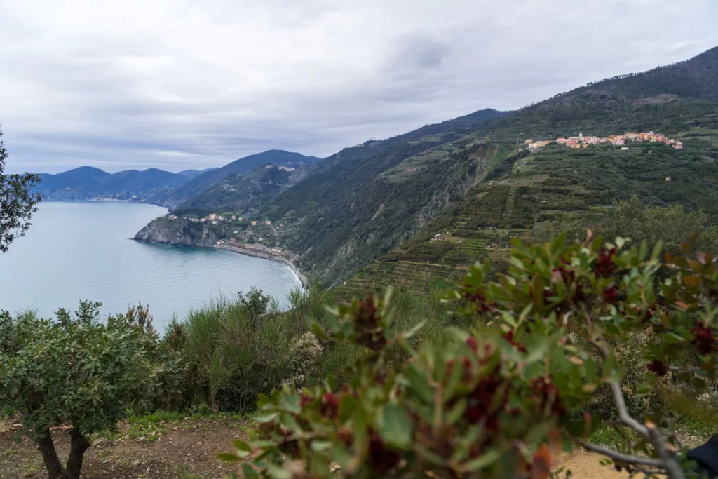 Ausblick aufs Wasser beim Wandern durch die Cinque Terre