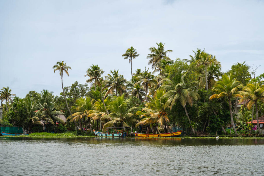Backwaters von Allepey