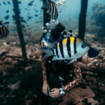 Tauchen am Sawandarek Jetty