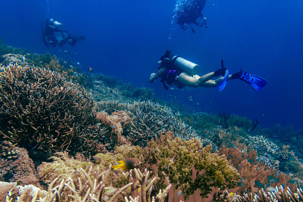 Tauchen in Raja Ampat ist ein einzigartiges Erlebnis