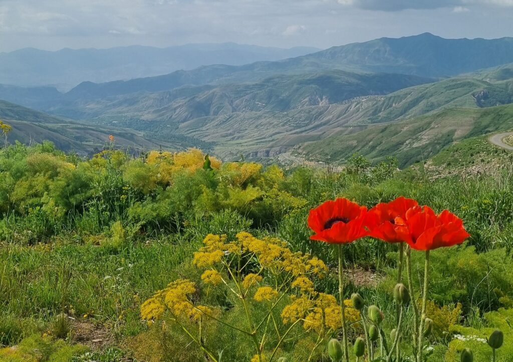 Armenien Wildzeltplatz