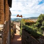 San Gimignano Ausblick