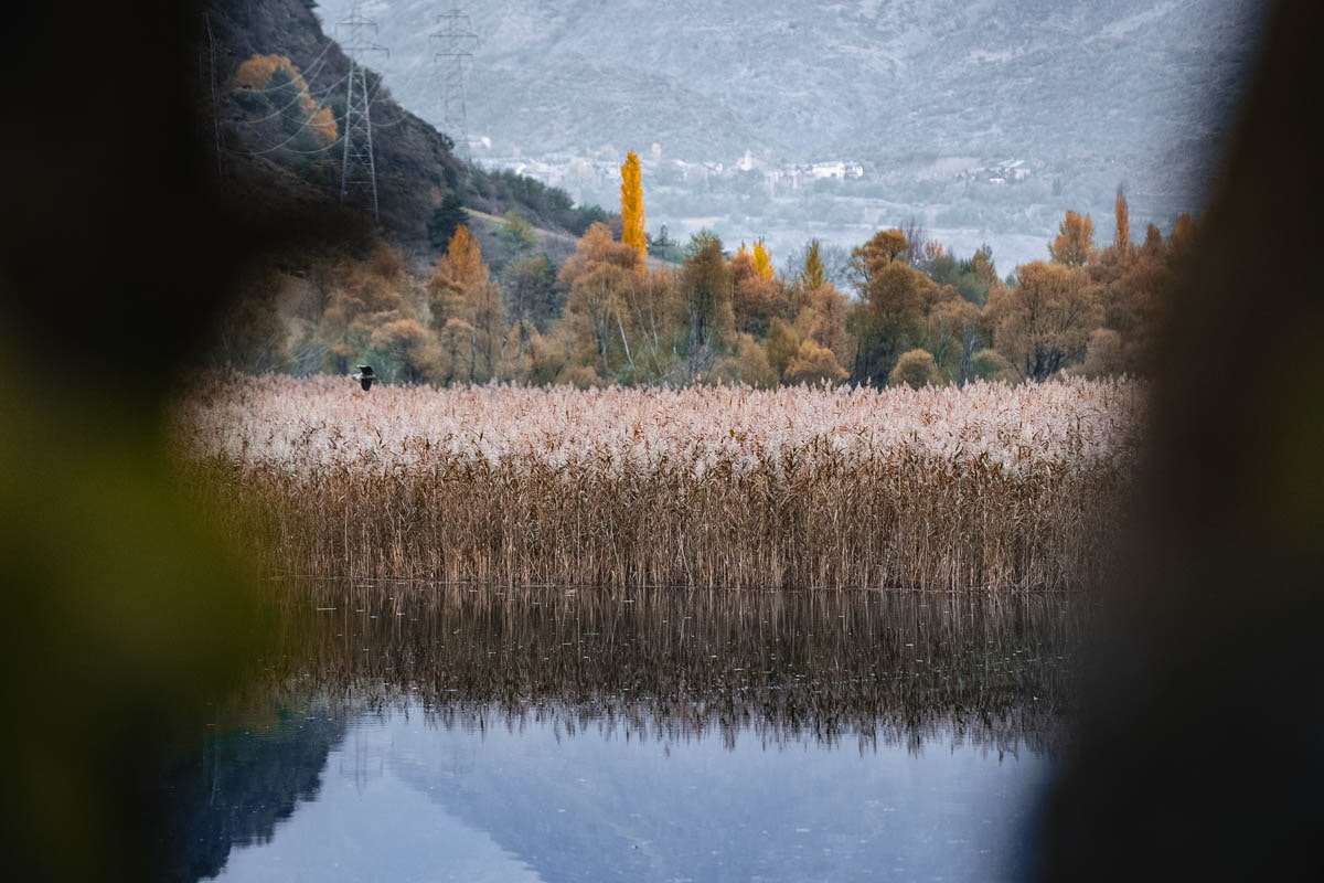 Mollera d’Escalarre wetlands
