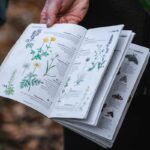 Pflanzenkunde in den Pyrenäen