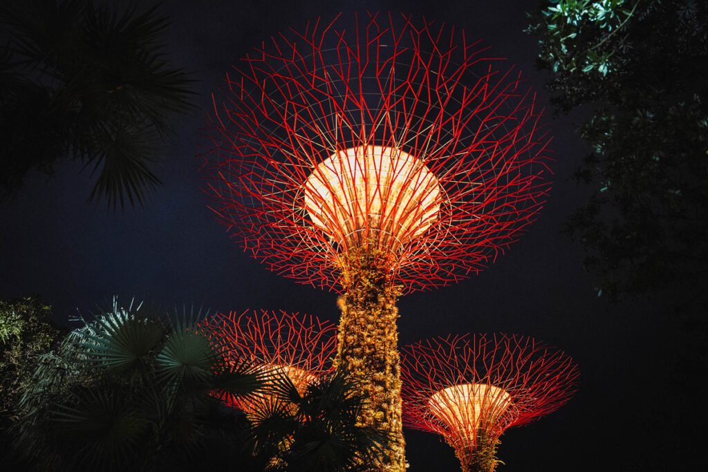 Die Super Trees in Singapur sind eine bekannte Sehenswürdigkeit