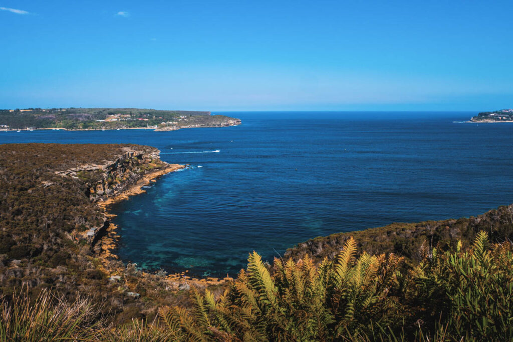 Spit Bridge to Manly walk: Ein Geheimtipp in Sydney