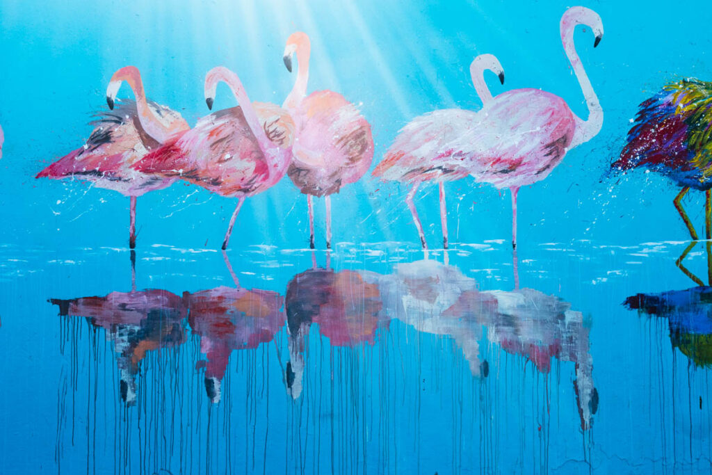 Bondi Beach Graffiti Wall