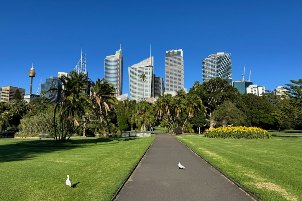 Botanischer Garten in Sydney mit Blick auf die Skyline