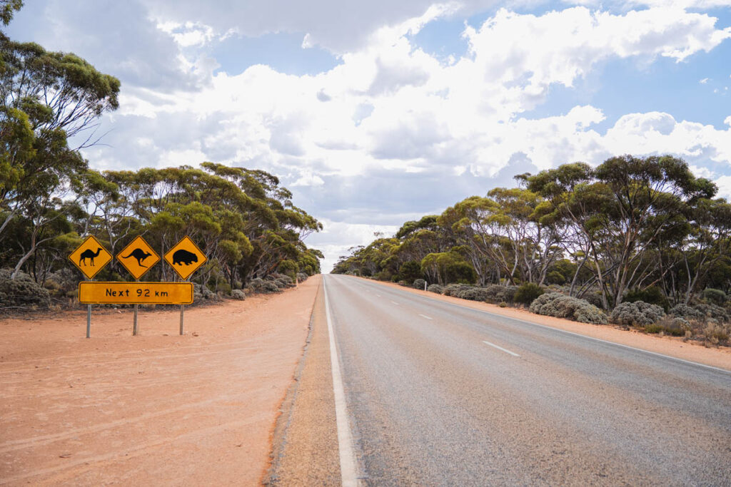 Schild beim Nullarbor Crossing, das vor Wildtieren warnt