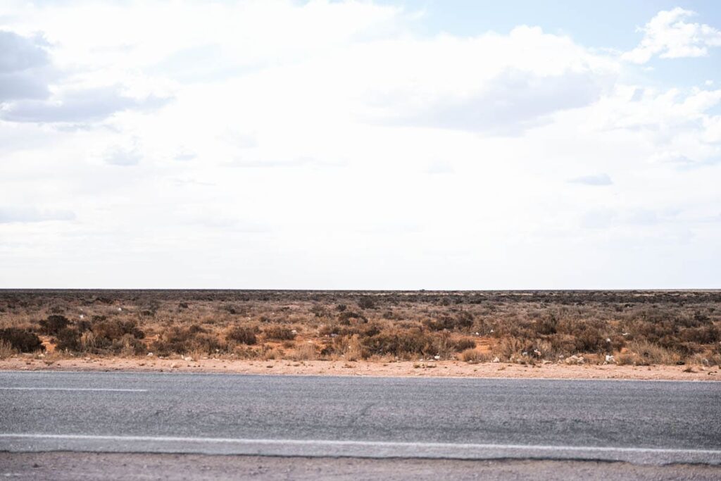 Keine Bäume in der Nullarbor Plain
