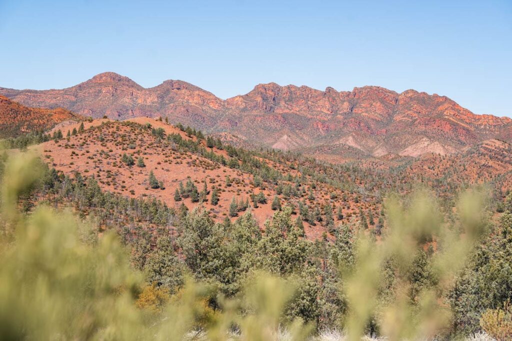 Ausblick auf die Flinders Ranges