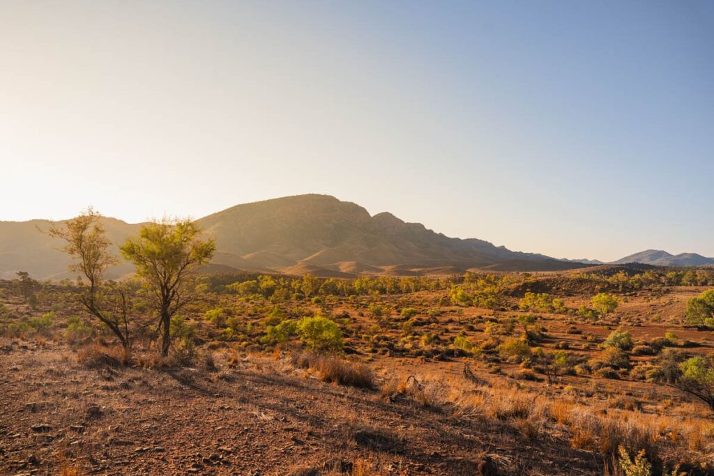 Landschaft im Flinders Ranges Nationarlpark