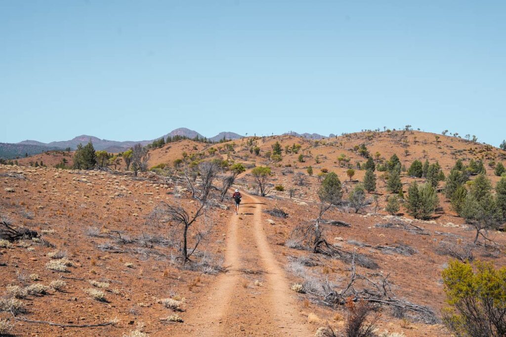 Wandern im Ikara Flinders Ranges Nationalpark
